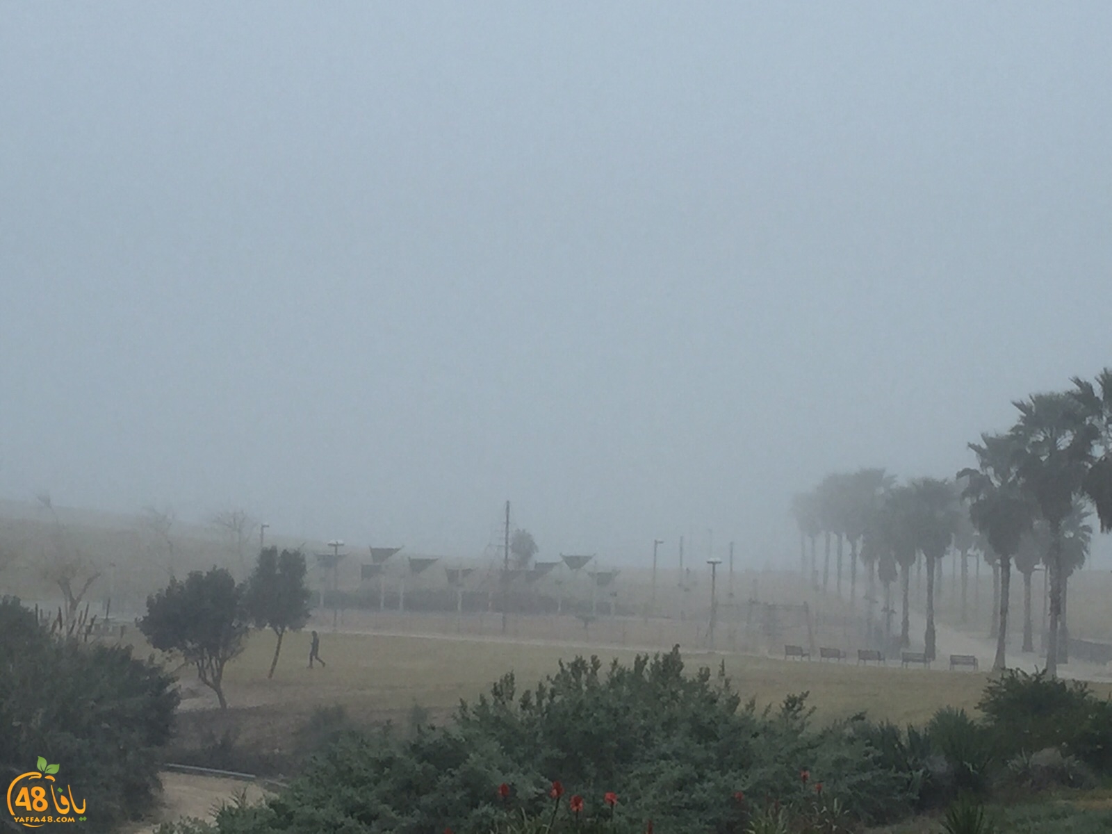 fog in yaffa (7).jpg